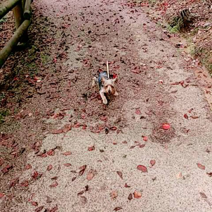 45bf095a 24e0 45d5 bf2c 84b9b0d388d0