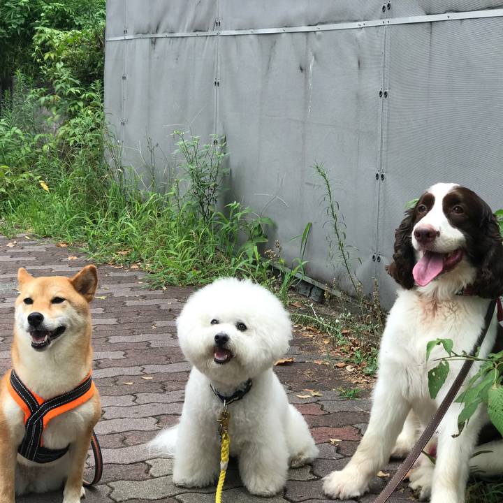 45bf650b 8830 4572 b1f5 c481a2dcaa54