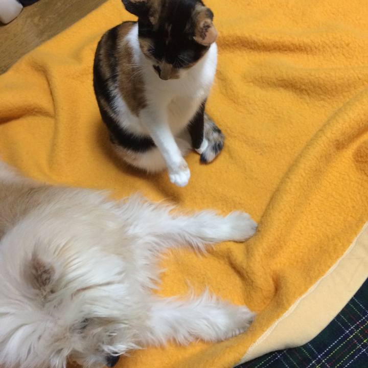 45bf6fb6 e673 4169 8f41 fb96ed99a2ea