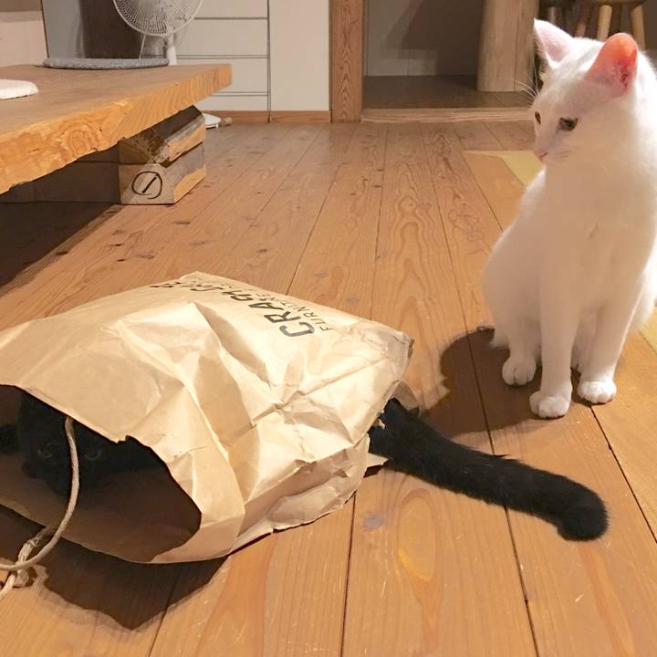 45bf81a3 851f 4e2b 8152 7034d01d311b