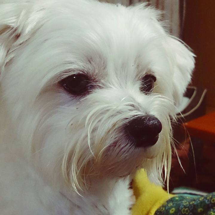 45bfc571 96e8 44fa 97bf e6bfde0ba1c8