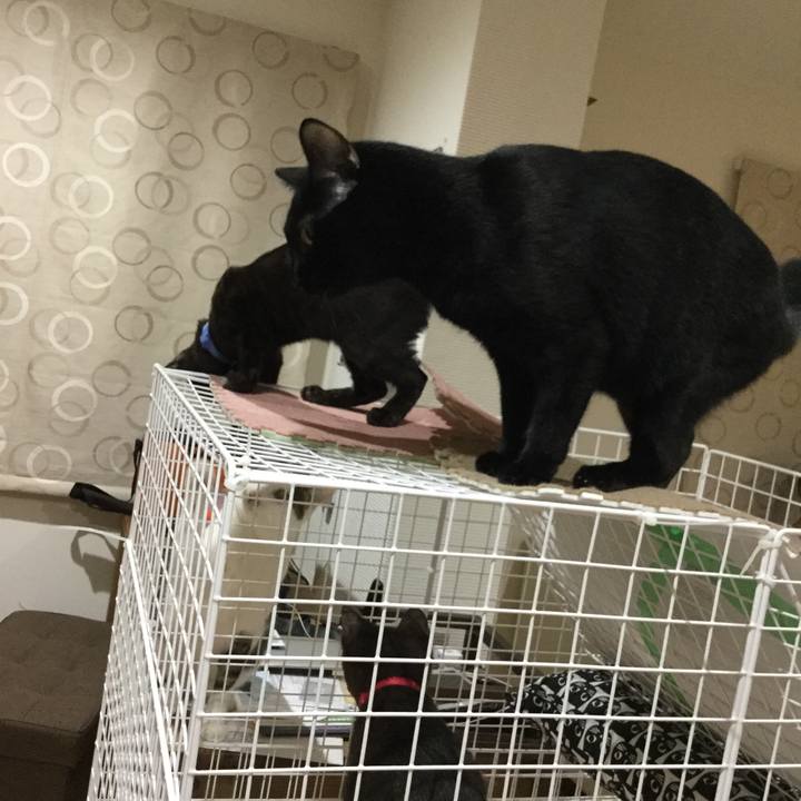 45bff088 0ec2 4ee2 bef4 f8e807164aa7