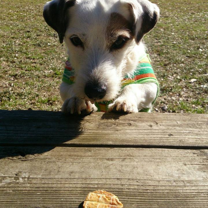 45c0b891 40df 4603 8539 8b30135c18cd