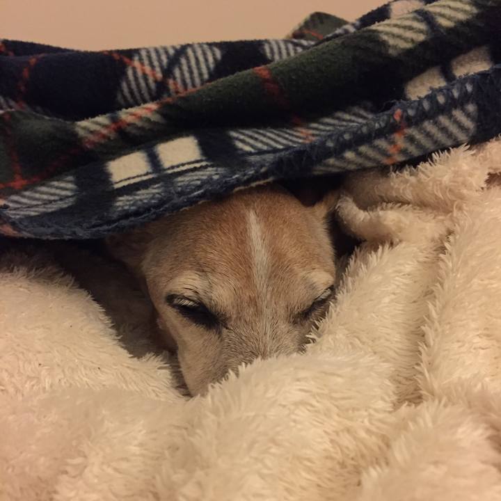 45c0d165 06e8 47c2 aada 96cd528a5211