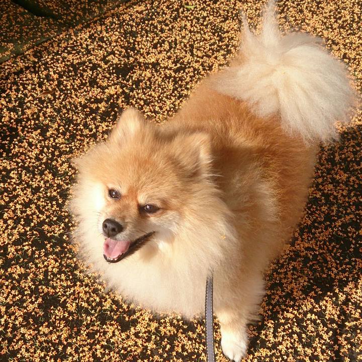 45c1b5e4 a67a 44e8 9a27 c6529932c5cd