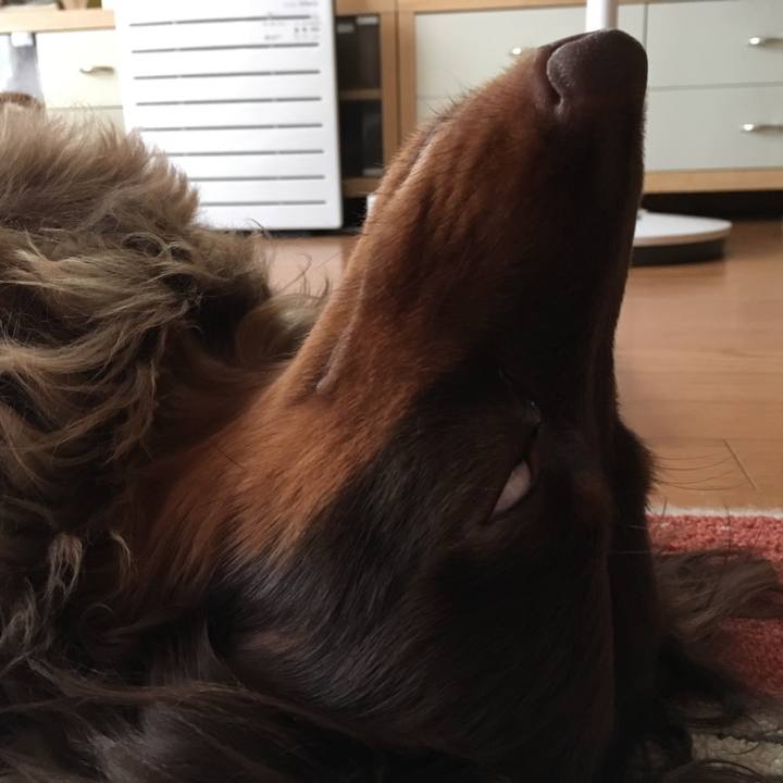 45c1b610 8906 427a a3db 6353a7bd2f4f