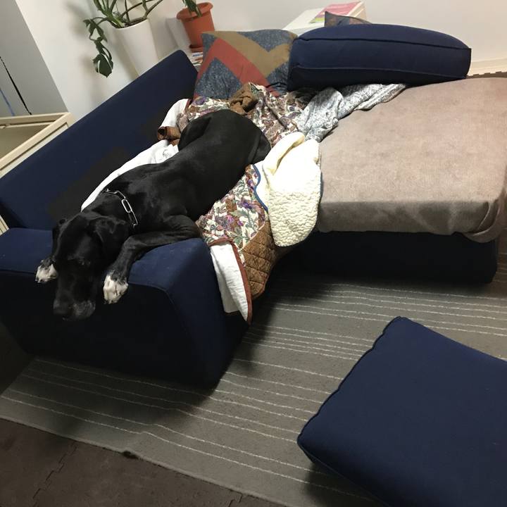 45c26bab b003 466c b03b 62b5992e173a