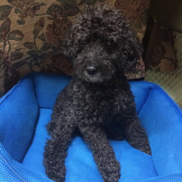 45c477e8 d6c6 4fda a75b dc135f6e30d9