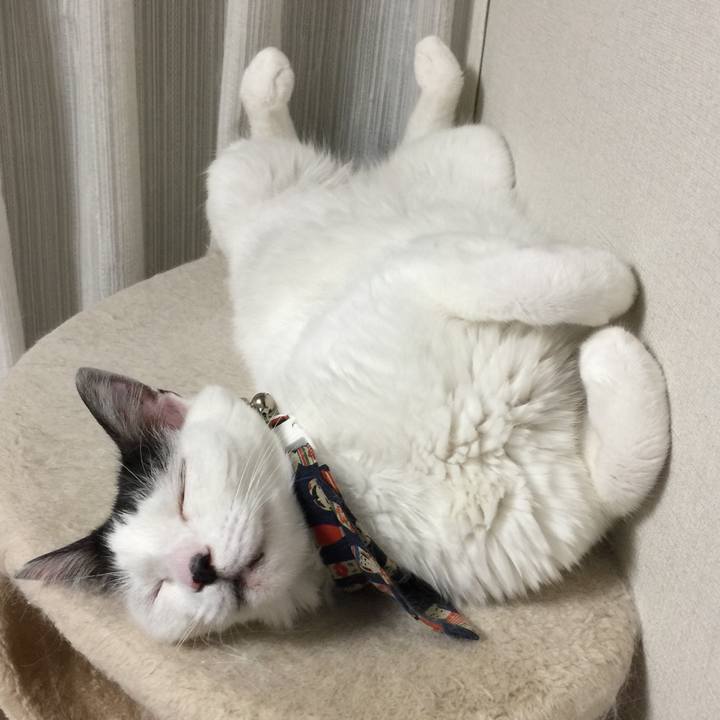 45c4ccef 49af 483b 90de 51e480223bb4