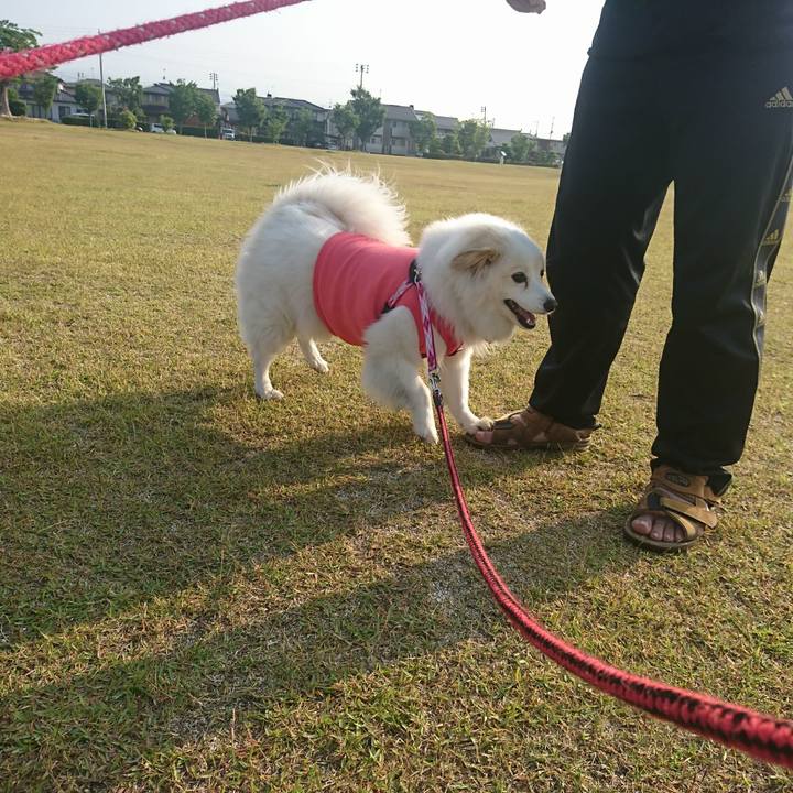 45c52e7a b2af 446e 9bcf bf2357ce6433