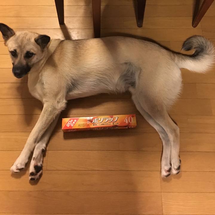 45c54f00 3e2f 45c2 8317 275eb735f586