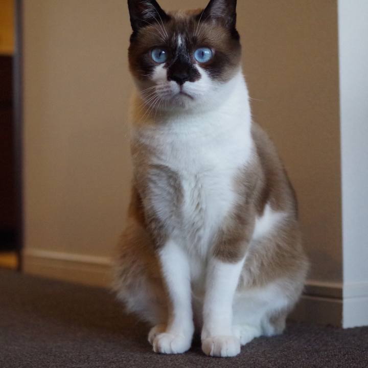 45c56b06 c297 4545 b85d ddf76a0bf3b8