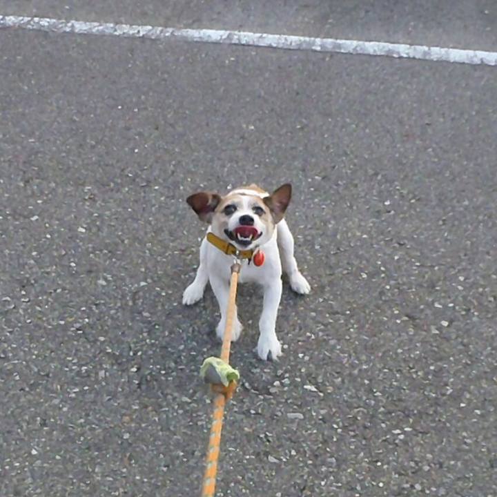 45c5816d bf45 4aab 9fd2 3f9ab5bf8087