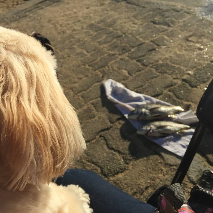 45c5efe7 c0d9 4d89 a72d 1cd518ebdee0