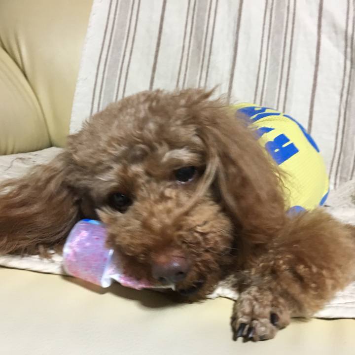 45c604b9 7ec7 433a 8dc6 6b4dd2b492da