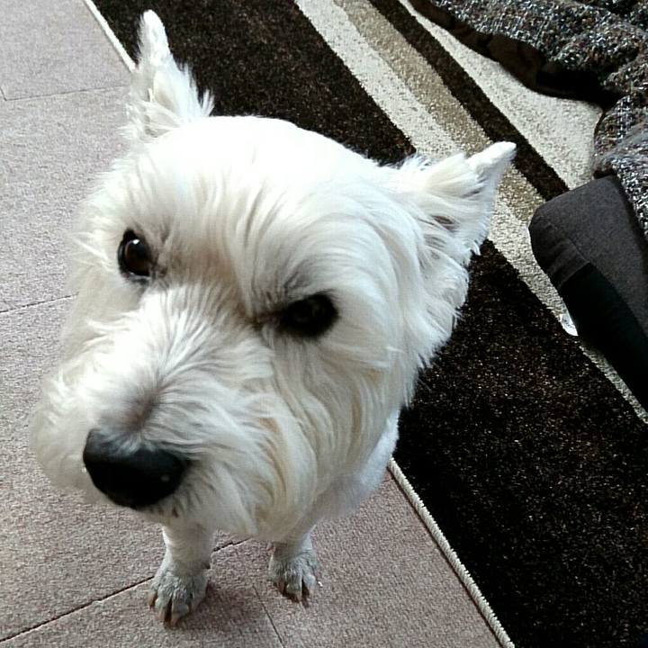 45c67325 a8f8 4512 9d21 17575c8790f5