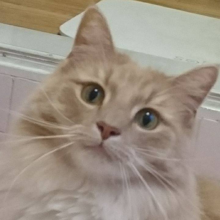 45c676f0 efb6 4ecc bfbc 285649e609b0