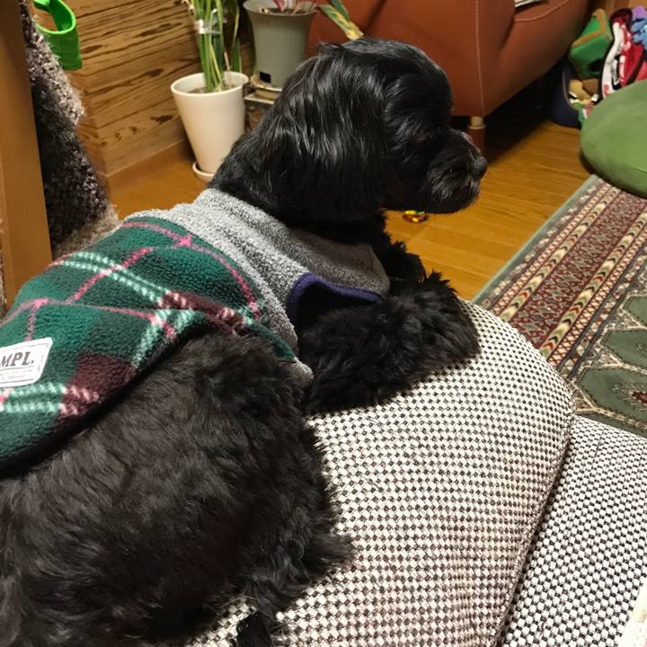 45c6e235 702e 4755 b3f2 10e0a3a1baaf