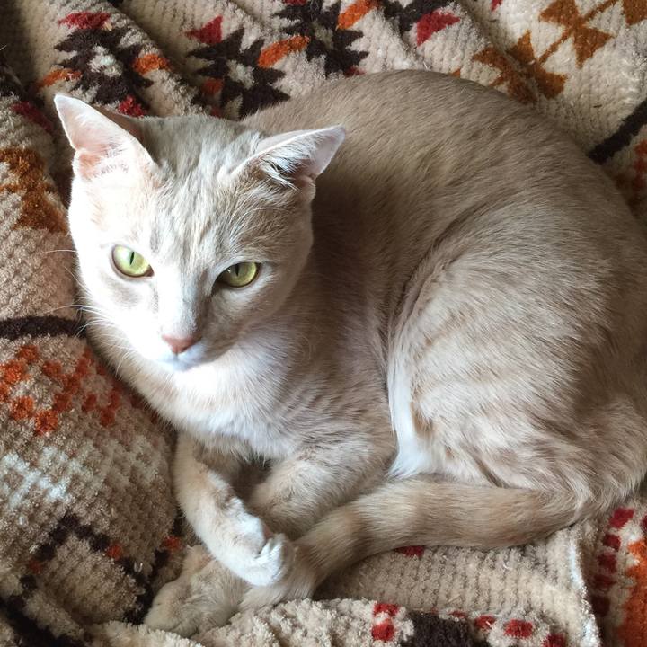 45c73604 437f 4de6 83c9 4ed6d98d0c12