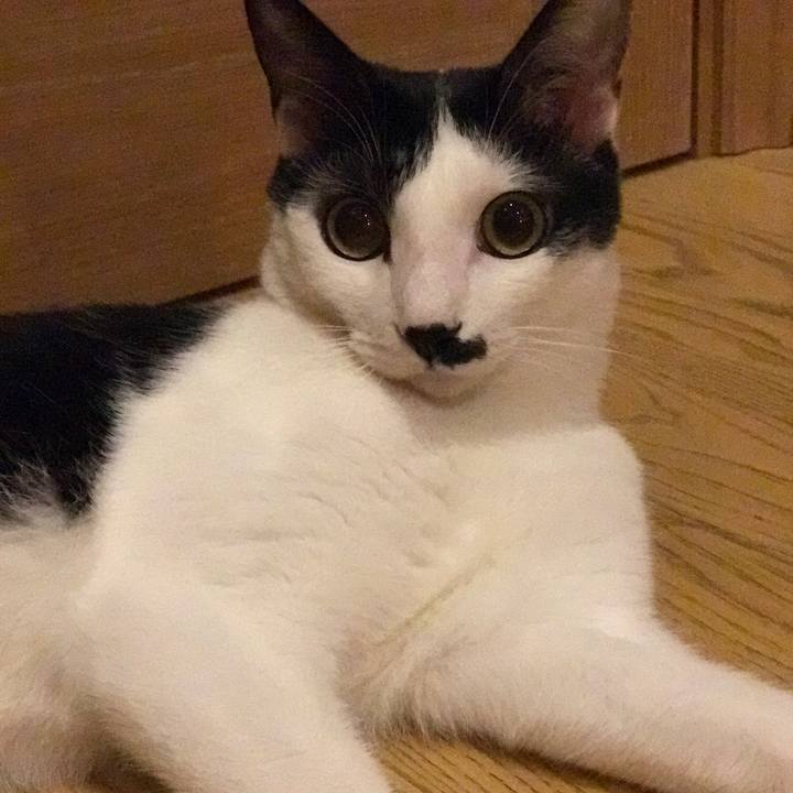 45c74068 367d 4dfa 95a0 fe4f7bc3ed16