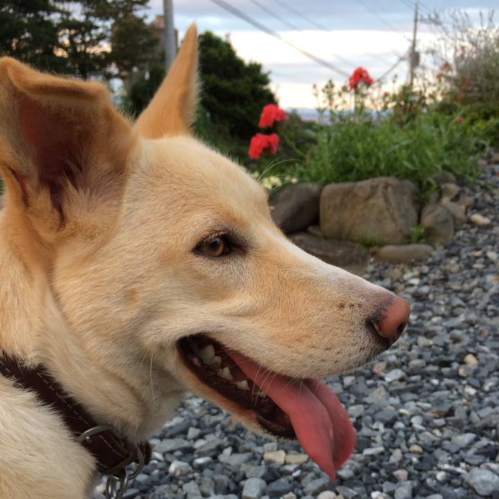 45c79c4b 9f84 43f8 aa8b 9e131590f28d