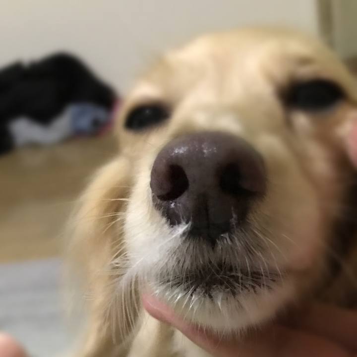 45c7a36a 736b 4363 8242 4986957d6c81