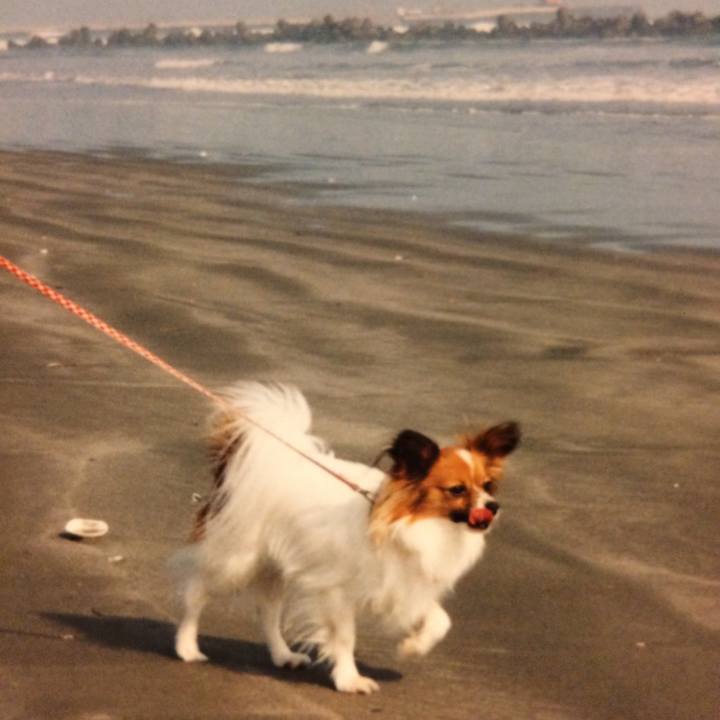 45c7c1ef d4fe 4959 b529 22d4a2492ae5