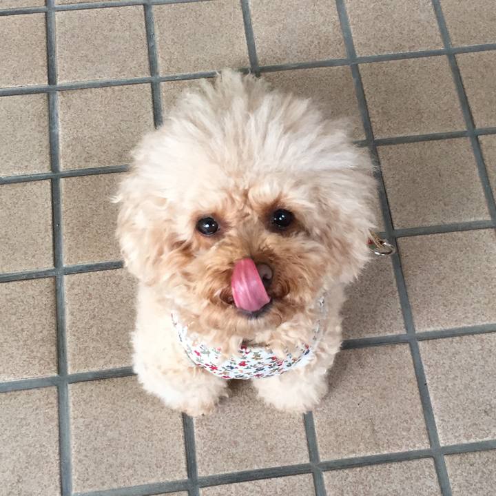 45c7d2ad 49bb 481b bba6 fb62d917ef67