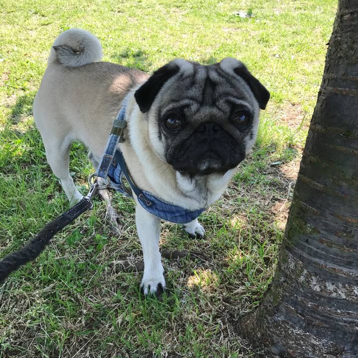 45c8a354 2d5c 4338 a6f3 b4d4319ff4da