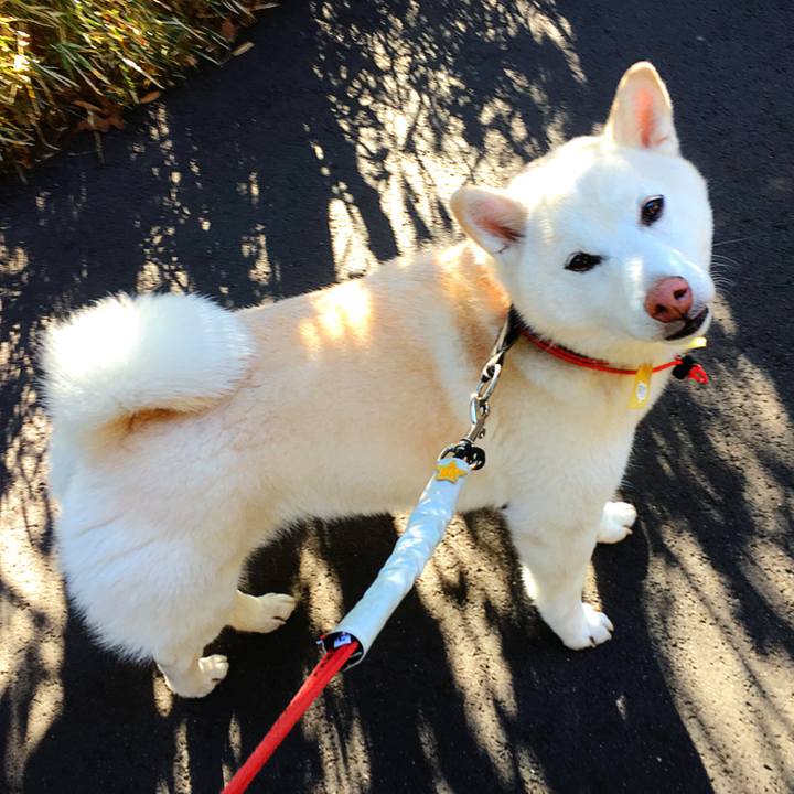 45c91b92 7d3c 4482 aca0 5fb9362fd606