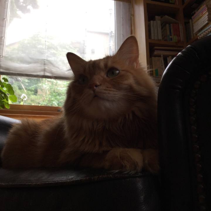 45c98d38 fe96 42aa 8a57 2d9b381836e9