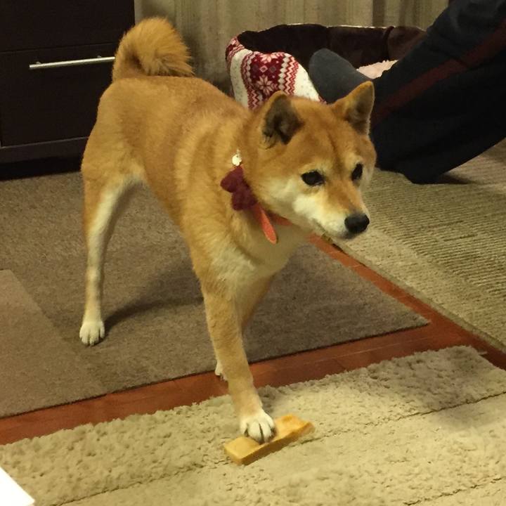 45c99cac ec23 4fd4 85ef 00c8cb2e72de