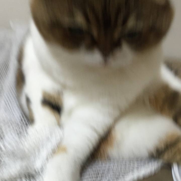 45ca1cd5 292e 4f8c 9d0d a6f1071e01c3