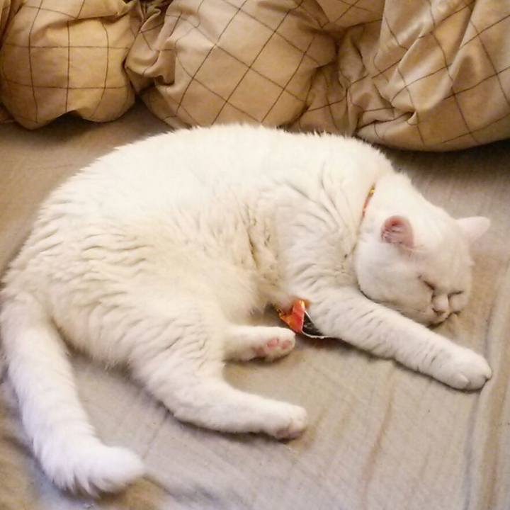 45ca2116 cc05 422b b159 79c5d8137652