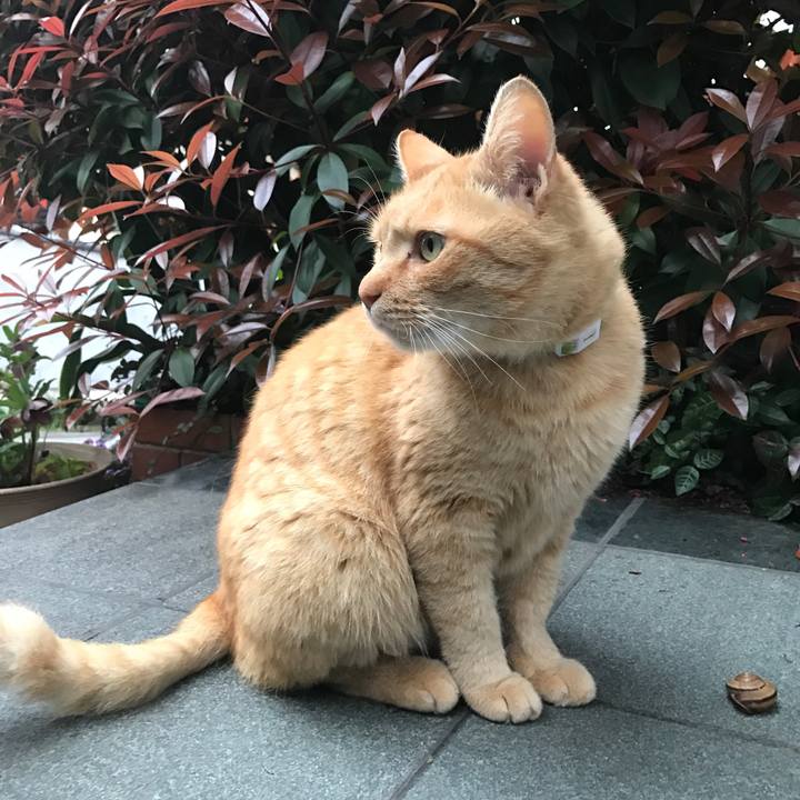 45cba9b6 55e3 4f39 bb34 4e5df7d1530b