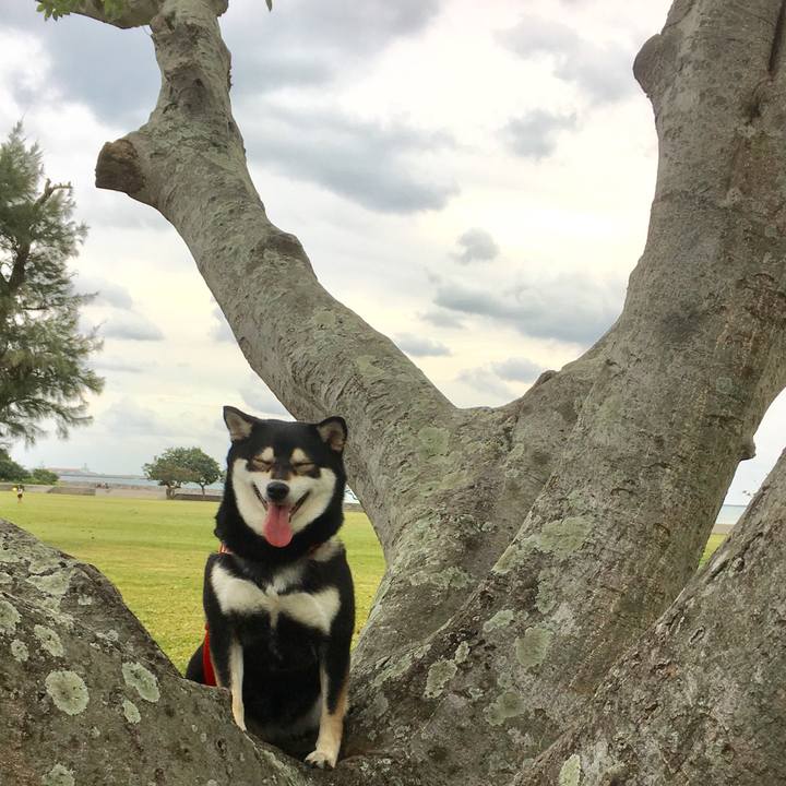 45cbadf1 1470 4202 8638 44fc008c3330