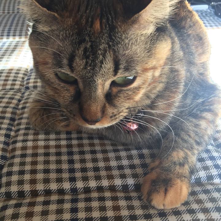 45cc1e8d 3536 457d ae6d 3818296e78e6