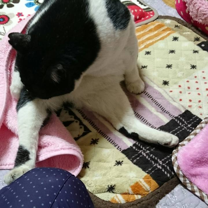 45cc84c8 8537 4496 9f9f ecbdf0d54505