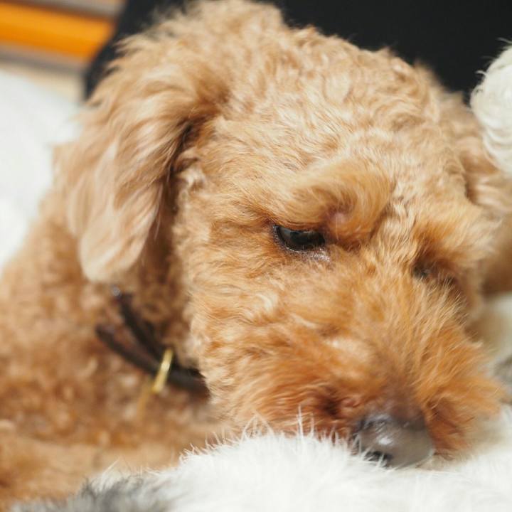 45ccb03a 7058 4a52 91d1 c093b57d2d6a