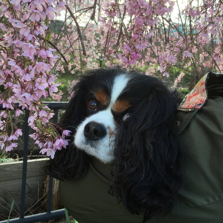 45ccdcdb 7392 41fe bad0 edf4d979d8b7