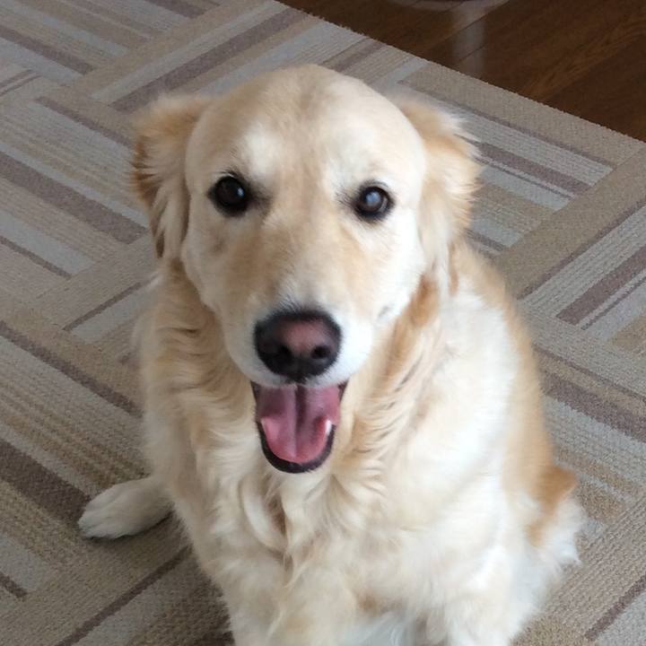 45cce36e 3db2 4193 adf0 bea84d64128f