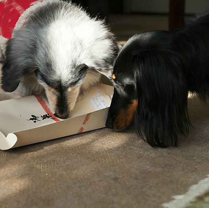 45cd5be0 1c7f 4ade bb38 b3869dc4da6c