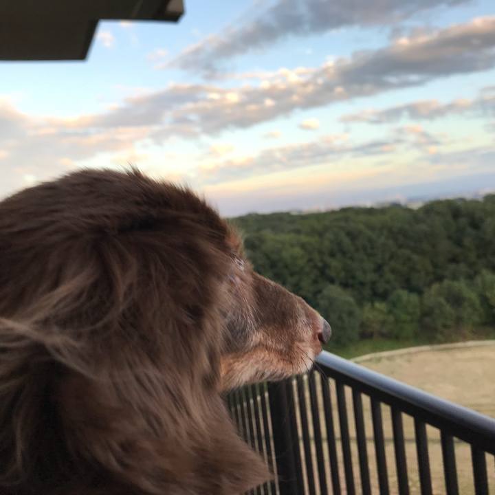 45cd5fe5 4081 4bbf a687 ad724e01e173