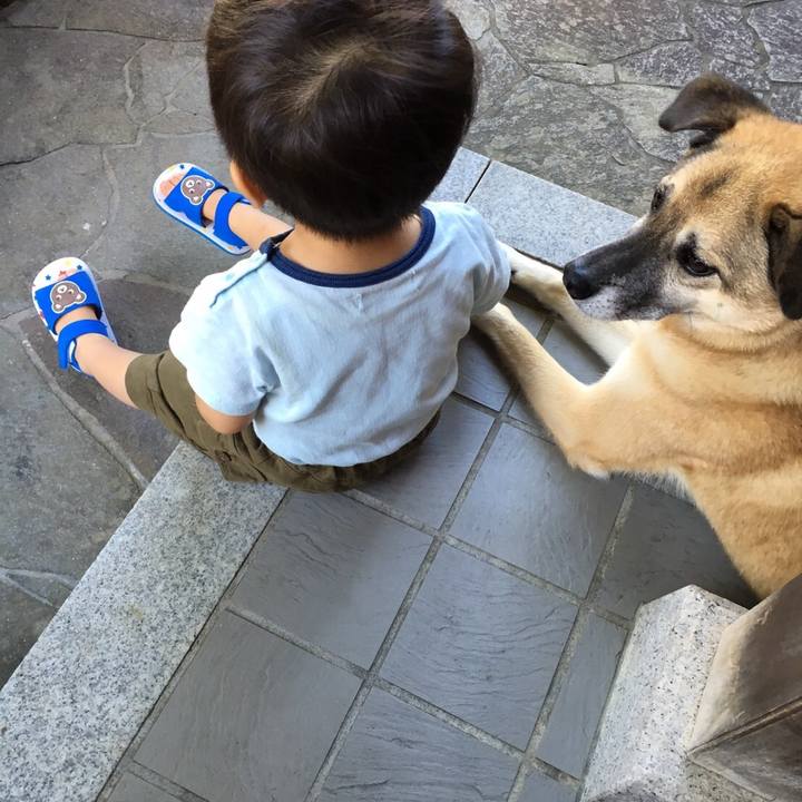 45cda919 4bd3 44fa 8b07 777fe94a264e