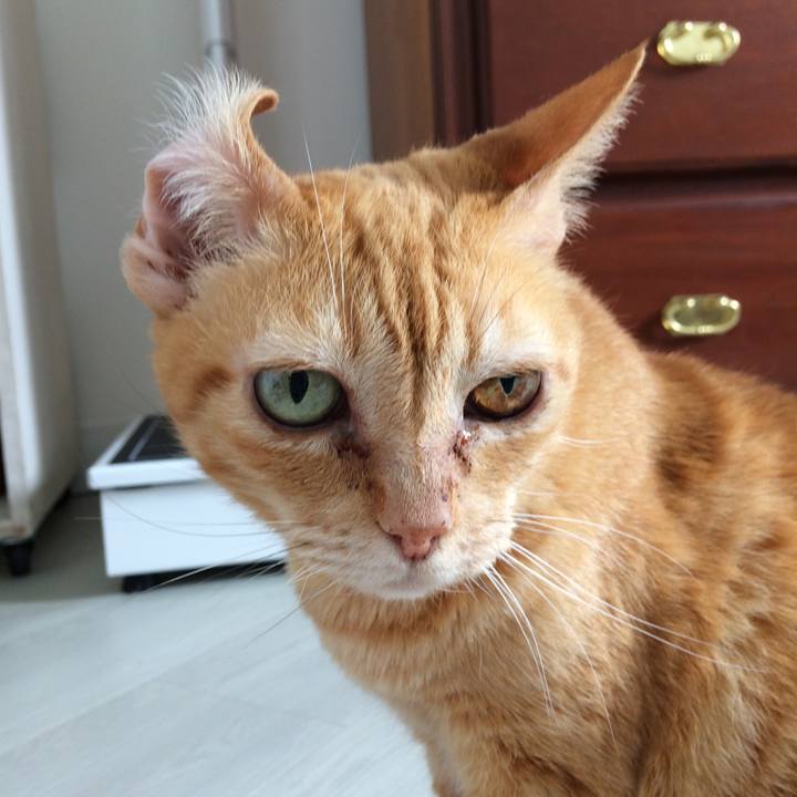 45cdcc03 d84a 4081 929a ef8580a05b25