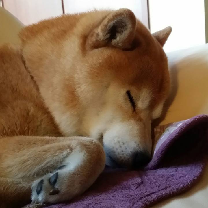 45cdfa08 d16c 407d 985d 8820c8e96676