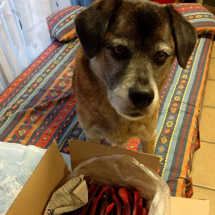 45ce2394 fd2c 4d33 840d c763aa6d46d9