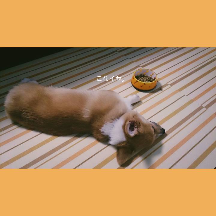 45ce5407 e36c 481c 8dce 8d6fc6e85d24