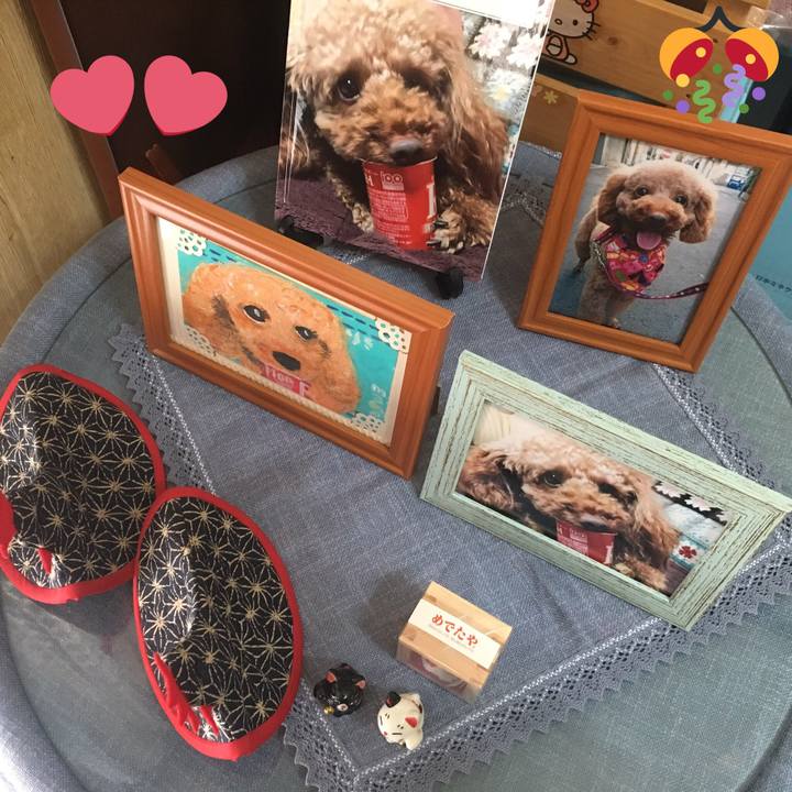 45ce6e5c 7c2d 47bb b7b7 54f8dcf18fe3