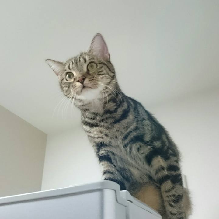 45ce8795 bdc4 42f4 ad3a 2bb3b2fe88db